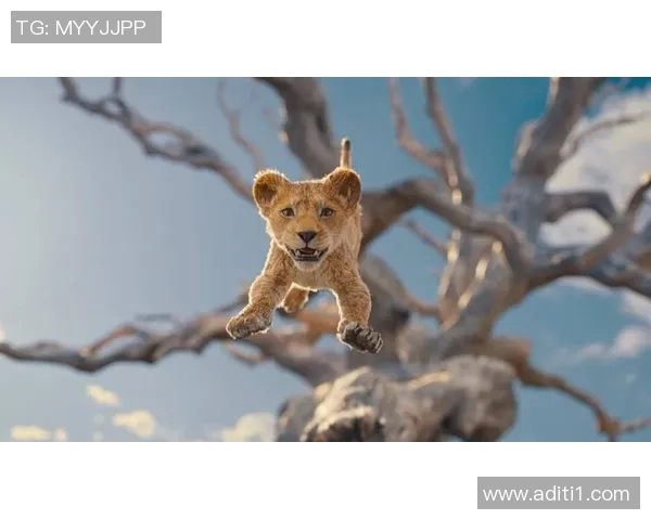 足球明星阿拉达的传奇故事与成就揭秘