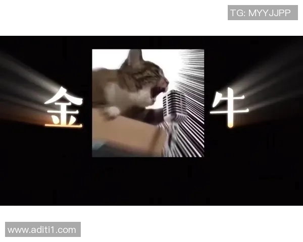 金牛座足球明星的魅力与成就解析及其对球迷的影响